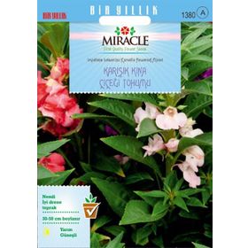 Miracle Balsamina Karışık Renkli 150 Tohum Kına Çiçeği