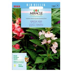 Miracle Balsamina Karışık Renkli 150 Tohum Kına Çiçeği