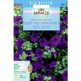 Miracle Eflatun Alderman Violet 800 Tohum Bodur Petunya Çiçeği
