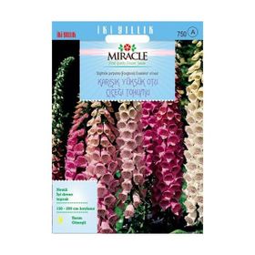 Miracle Excelsior Mixed Karışık Renkli Yüksükotu Çiçeği 700 Tohum