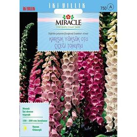 Miracle Excelsior Mixed Karışık Renkli Yüksükotu Çiçeği 700 Tohum