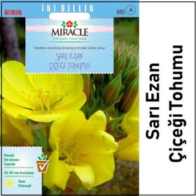 Miracle Ezan Çiçeği 480 Tohum