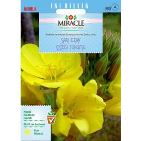 Miracle Ezan Çiçeği 480 Tohum