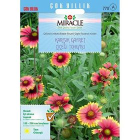 Miracle Giallardia Mix 190 Tohum Karışık Gayret Çiçeği