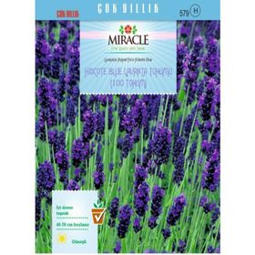 Miracle Hidcote Blue Lavanta 100 Tohum