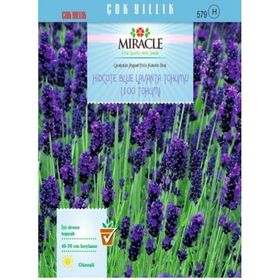 Miracle Hidcote Blue Lavanta 100 Tohum