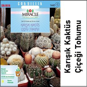 Miracle Karışık Kaktüs Bitkileri Çiçeği 180 Tohum