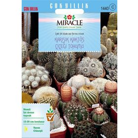 Miracle Karışık Kaktüs Bitkileri Çiçeği 180 Tohum