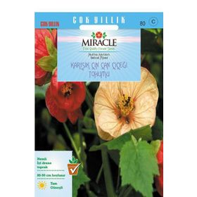 Miracle Karışık Renkli Çin Çan Çiçeği 50 Adet Tohum