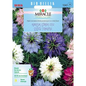 Miracle Karışık Renkli Çörek Otu Çiçeği 850 Tohum