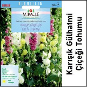 Miracle Karışık Renkli Katmerli Gül Hatmi Çiçeği 40 Adet Tohum