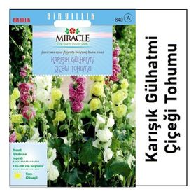 Miracle Karışık Renkli Katmerli Gül Hatmi Çiçeği 40 Adet Tohum