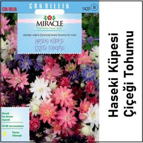 Miracle Karışık Renkli Katmerli Haseki Küpesi Çiçeği 400 Tohum