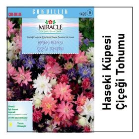 Miracle Karışık Renkli Katmerli Haseki Küpesi Çiçeği 400 Tohum
