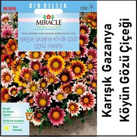 Miracle Karışık Renkli Koyun Gözü Gazanya Çiçeği 70 Tohum