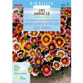 Miracle Karışık Renkli Koyun Gözü Gazanya Çiçeği 70 Tohum