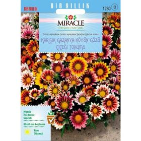 Miracle Karışık Renkli Koyun Gözü Gazanya Çiçeği 70 Tohum