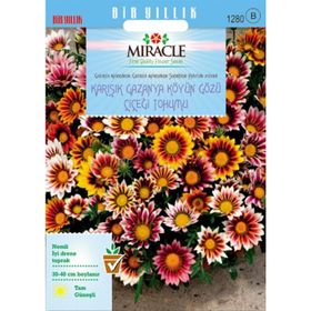 Miracle Karışık Renkli Koyun Gözü Gazanya Çiçeği 70 Tohum