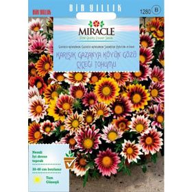 Miracle Karışık Renkli Koyun Gözü Gazanya Çiçeği 70 Tohum