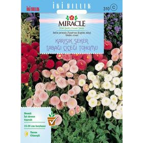 Miracle Karışık Şeker Tabağı- Çayır Papatyası Çiçeği 600 Tohum
