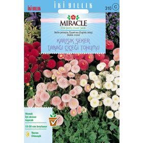 Miracle Karışık Şeker Tabağı- Çayır Papatyası Çiçeği 600 Tohum