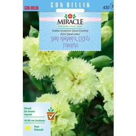 Miracle Marie Chabaud Sarı Karanfil Çiçeği 190 Tohum