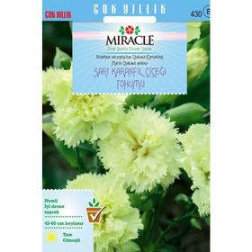 Miracle Marie Chabaud Sarı Karanfil Çiçeği 190 Tohum