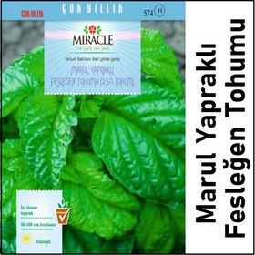 Miracle Marul Yapraklı Fesleğen 250 Tohum