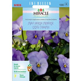 Miracle Mavi Hercai Menekşe Çiçeği 150 Tohum
