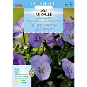 Miracle Mavi Hercai Menekşe Çiçeği 150 Tohum