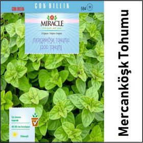 Miracle Mercanköşk 200 Tohum