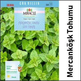 Miracle Mercanköşk 200 Tohum