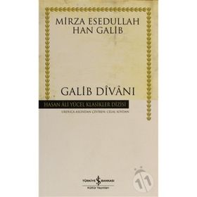 MIRZA ESEDULLAH HAN GALIB GALIB DİVANI - HASAN ALI YÜCEL