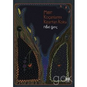 Mısır Koçanlarını Kızartan Koku - Nibel Genç