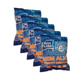 Miss Flora 450 G Yedek 5'li Paket Nem Alıcı