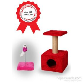 Miss Kare Yuvalı Oyun Standı Kırmızı Kedi Tırmalama Aksesuarı