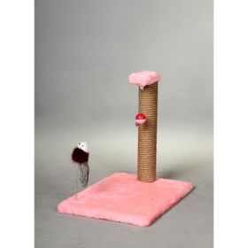Miss Sport Pembe Kedi Tırmalama Aksesuarı