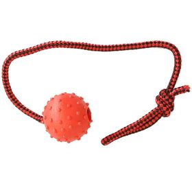 Mixpet 45 cm Köpek Diş İpi Toplu