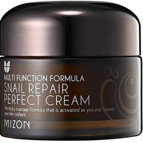 Mizon Snail Repair Perfect Cream 50 ml Nemlendirici Krem