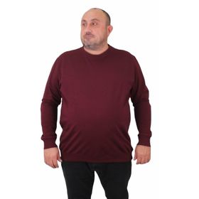 Moc Grande 23216 Mürdüm Sıfır Yaka Erkek Sweatshirt