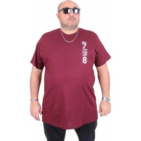 Moc Grande 25158 Stand Up Mürdüm Sıfır Yaka Erkek T-shirt
