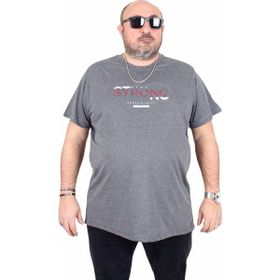 Moc Grande 25167 Strong Antrasit Melanj Sıfır Yaka Erkek T-shirt