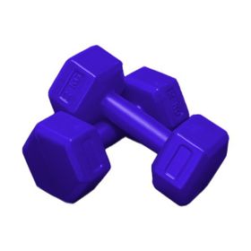 Moccastyle Mavi 2x2 kg Dambıl Seti
