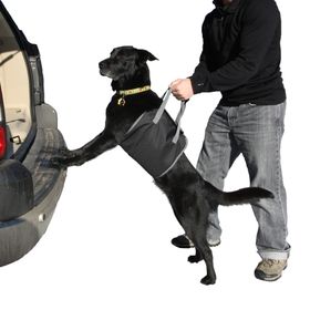 Modacar 424691 Köpek Koyma Aparatı