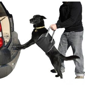 Modacar 424691 Köpek Koyma Aparatı