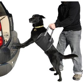 Modacar 424691 Köpek Koyma Aparatı