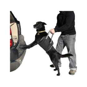 Modacar 424691 Köpek Koyma Aparatı