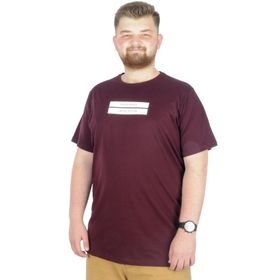 Mode XL 22189 Mürdüm Erkek T-shirt