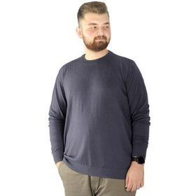 Mode XL 22207 Füme Erkek Kazak