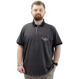 Mode XL U24331 Los Angeles Antrasit Erkek T-shirt